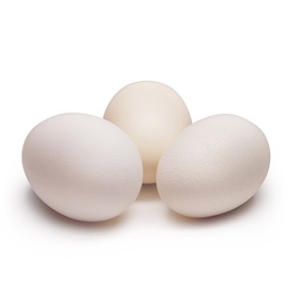 Uova bianche senza antibiotici allevamento da terra