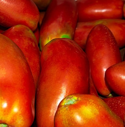 Pomodoro ciliegino semi secco